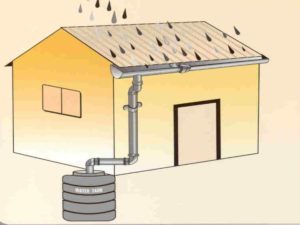 Rainwater Harvesting